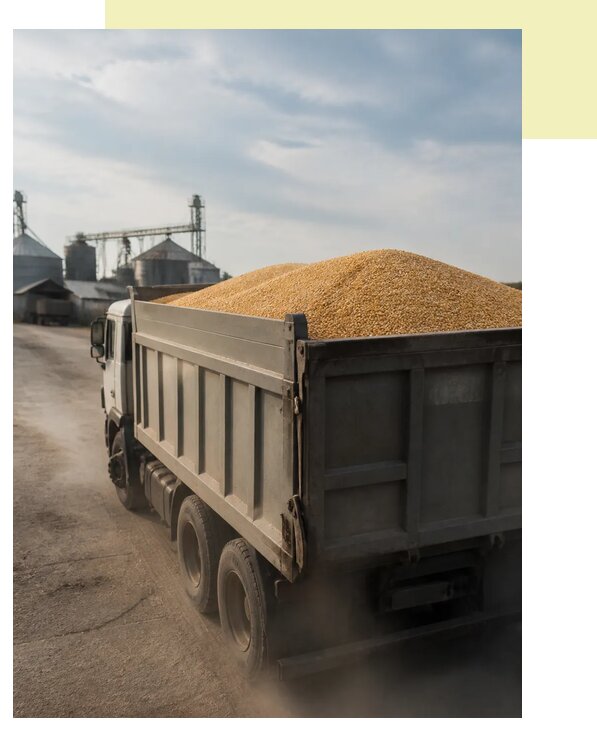 Перевозка сельхозпродукции навалом в Верхнего Уфалей по цене от 3070 р. | Агросервис-Врф